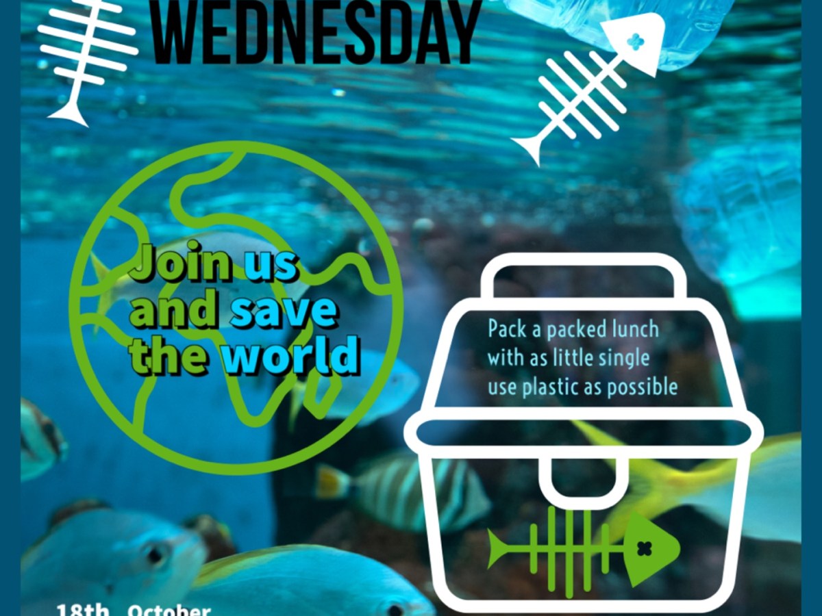 The Problem with&nbsp;Plastic